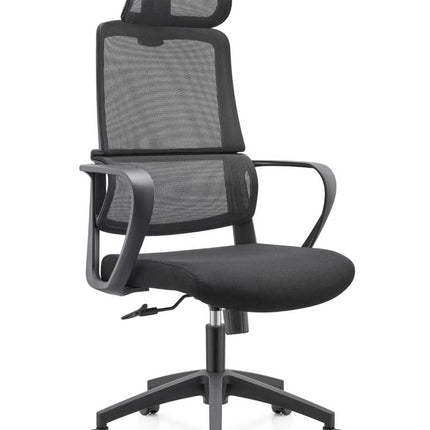 Ergonomic Office Chair with Lumbar Support - Black