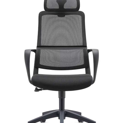 Ergonomic Office Chair with Lumbar Support - Black