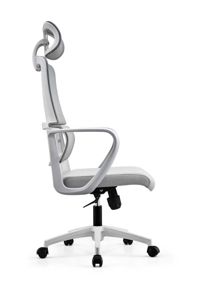 Ergonomic Office Chair with Lumbar Support - Gray