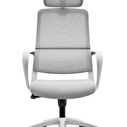 Ergonomic Office Chair with Lumbar Support - Gray