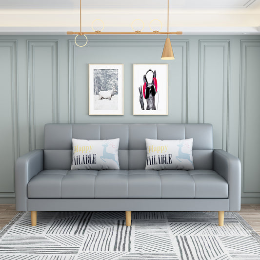 Simple Multifunctional Sofa Bed for Home Office (Inl 2 Cushions)