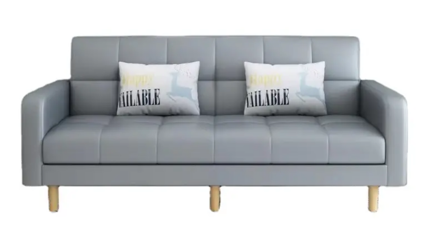 Simple Multifunctional Sofa Bed for Home Office (Inl 2 Cushions)